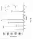 Fig. 07 - Method and apparatus for plasma generation
