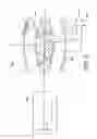 Fig. 04 - Mass spectrometry method and apparatus