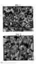 Fig. 02 - Carbon-containing nickel-particle powder and method for manufacturing the same