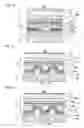 Fig. 08 - Semiconductor laser device