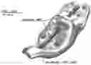 Fig. 01 - Contour motorcycle seat