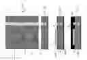 Fig. 05 - Single package design for 3-axis magnetic sensor