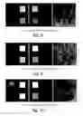 Fig. 08 - Water-fat separation for fast spin echo imaging in an inhomogeneous field with progressive encoding