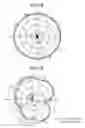 Fig. 07 - Internal triple-band antenna