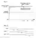 Fig. 09 - Liquid crystal display