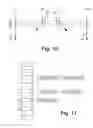 Fig. 11 - Tree-based compositing system