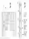 Fig. 12 - Tree-based compositing system