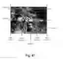Fig. 52 - Tree-based compositing system