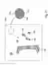 Fig. 18 - Recording a sequence of images using two recording procedures