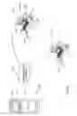 Fig. 02 - Method and system for assessing eye disease