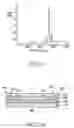 Fig. 06 - Gain-clamped semiconductor optical amplifier