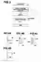 Fig. 03 - Position measuring apparatus and positioning apparatus for magnetic transfer master carriers