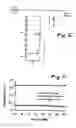 Fig. 06 - On-chip ESD protection circuit for compound semiconductor heterojunction bipolar transistor RF circuits
