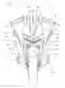 Fig. 01 - Headlamp for a two-wheeled vehicle
