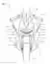 Fig. 04 - Headlamp for a two-wheeled vehicle