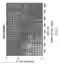 Fig. 06 - High-frequency processing of seismic vibrator data