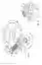 Fig. 07 - Detent escapement for timepiece