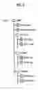 Fig. 03 - Recording medium, method of creating file of the recording medium, and method and apparatus for reproducing the same