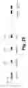 Fig. 28 - Power management for wireless direct link