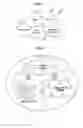 Fig. 02 - SIP-based user mobility providing apparatus and method