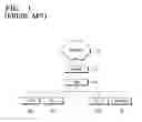 Fig. 02 - Network node capable of restricting a packet receiving activity during packet congestion and method thereof