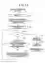 Fig. 24 - Device, system, method and program for information processing, recording medium storing the program