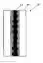 Fig. 01 - Multimode raman fiber device with mode discrimination