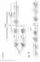 Fig. 02 - Image data compression device and encoder