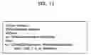 Fig. 12 - Motion picture file encryption method and digital rights management method using the same