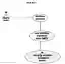 Fig. 09 - Means for providing protecting for digital assets