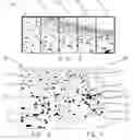 Fig. 04 - Systems and methods relating to AFIS recognition, extraction, and 3-D analysis strategies
