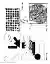 Fig. 02 - Automated microscope slide tissue sample mapping and image acquisition