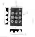 Fig. 07 - Automated microscope slide tissue sample mapping and image acquisition