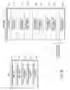 Fig. 35 - Information storage medium, information reproduction device, information reproduction method