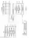Fig. 37 - Information storage medium, information reproduction device, information reproduction method