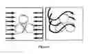 Fig. 02 - Flexible die heater
