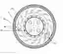 Fig. 01 - Compressor diffuser