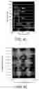 Fig. 26 - System and apparatus for body fluid analysis using surface-textured optical materials