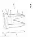 Fig. 02 - Composition and method for prevention and treatment of dental caries