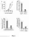 Fig. 02 - Use of herpesviruses, herpesvirus proteins and nucleic acids encoding the proteins to inhibit CCR5-tropic HIV-1 infection and replication