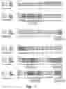 Fig. 02 - B-cell epitope peptides of HSP 65, DNA encoding said peptides, antibodies directed against said peptides and the different uses thereof in the treatment of inflammatory and autoimmune diseases