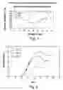 Fig. 09 - B-cell epitope peptides of HSP 65, DNA encoding said peptides, antibodies directed against said peptides and the different uses thereof in the treatment of inflammatory and autoimmune diseases