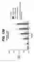Fig. 22 - Anti-TNF antibodies, compositions, methods and uses