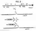Fig. 07 - Modified peptides as therapeutic agents