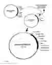 Fig. 03 - Modified growth hormone fusion polypeptides