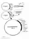 Fig. 05 - Modified growth hormone fusion polypeptides