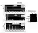 Fig. 02 - Lipoparticles comprising proteins, methods of making, and using the same