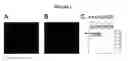 Fig. 03 - Lipoparticles comprising proteins, methods of making, and using the same