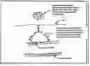 Fig. 01 - Deployable multifunctional hemostatic agent