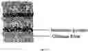 Fig. 07 - Deployable multifunctional hemostatic agent